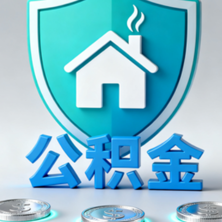濮阳公积金代办行业观察：谁在提供专业服务？